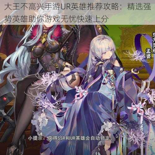 大王不高兴手游UR英雄推荐攻略:精选强势英雄助你游戏无忧快速上分