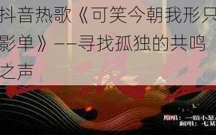 抖音热歌《可笑今朝我形只影单》——寻找孤独的共鸣之声