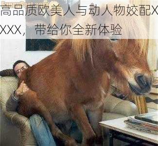 高品质欧美人与动人物姣配XXXX,带给你全新体验