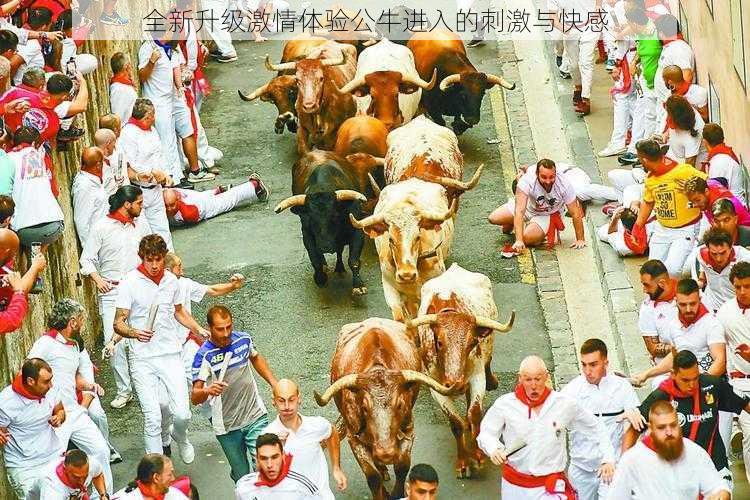 全新升级激情体验公牛进入的刺激与快感