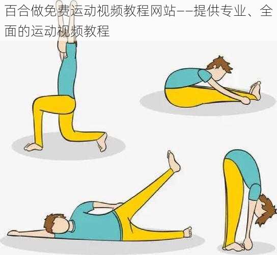 百合做免费运动视频教程网站——提供专业、全面的运动视频教程