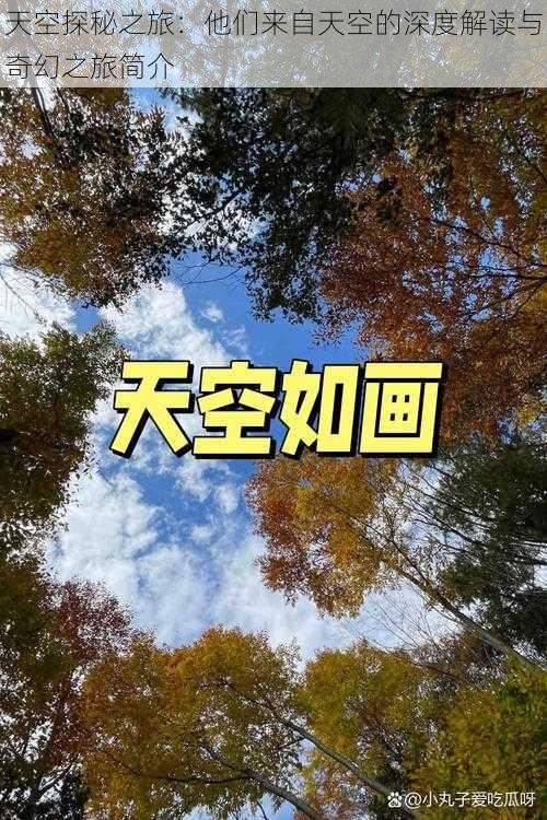 天空探秘之旅:他们来自天空的深度解读与奇幻之旅简介