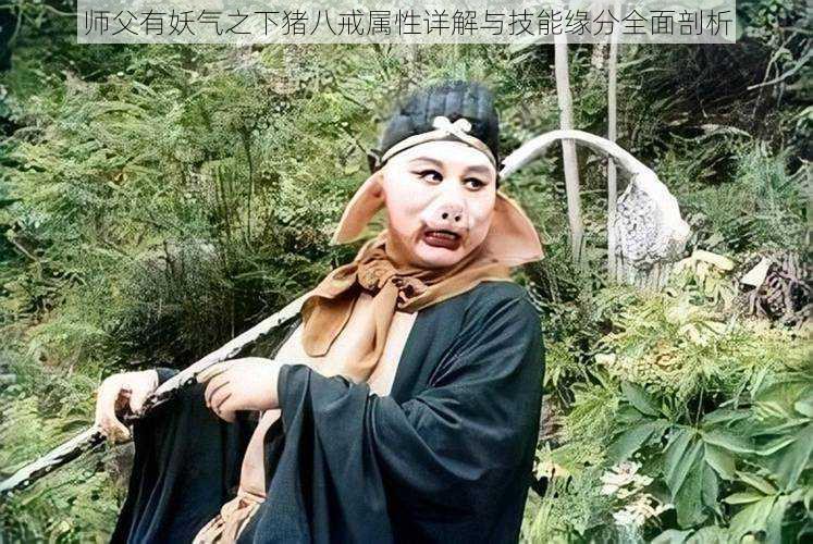 师父有妖气之下猪八戒属性详解与技能缘分全面剖析
