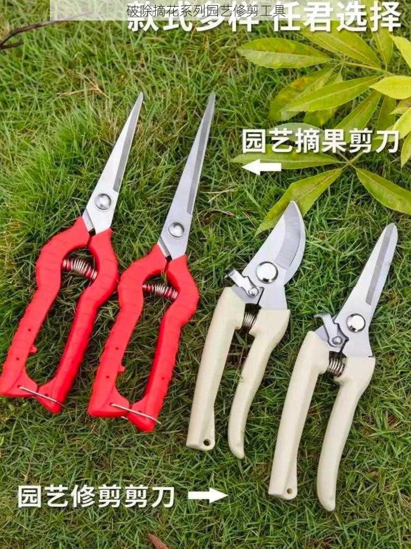 破除摘花系列园艺修剪工具