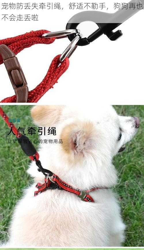 宠物防丢失牵引绳,舒适不勒手,狗狗再也不会走丢啦
