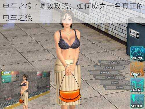 电车之狼 r 调教攻略:如何成为一名真正的电车之狼