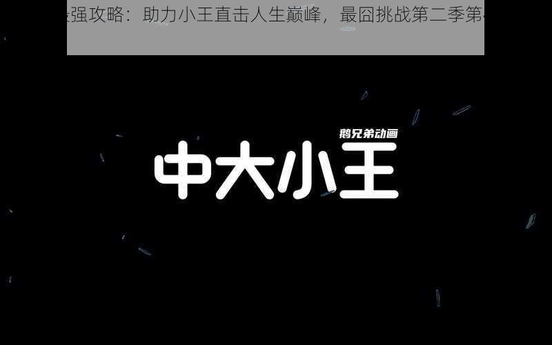 《史上最强攻略:助力小王直击人生巅峰,最囧挑战第二季第47关揭秘》