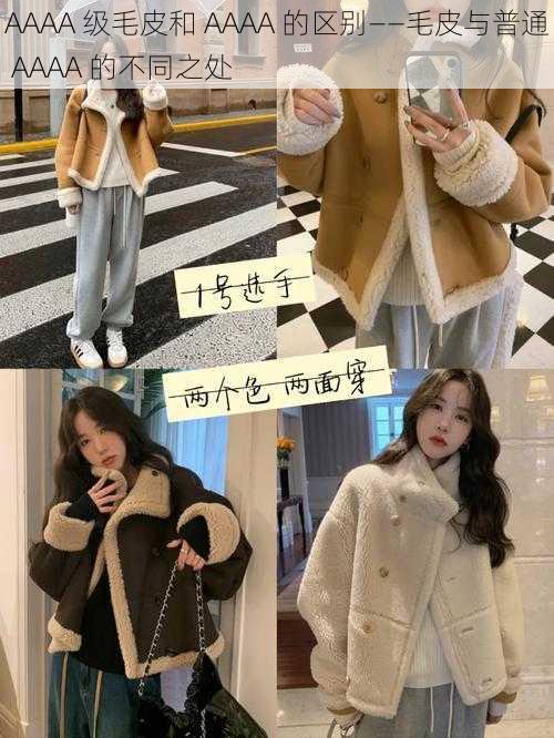 AAAA 级毛皮和 AAAA 的区别——毛皮与普通 AAAA 的不同之处