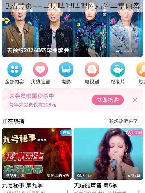 B站黄页——呈现哔哩哔哩网站的丰富内容