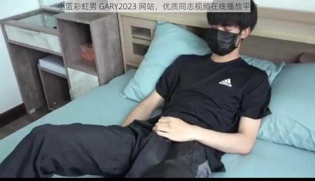 小蓝彩虹男 GARY2023 网站,优质同志视频在线播放平台