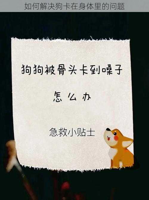 如何解决狗卡在身体里的问题