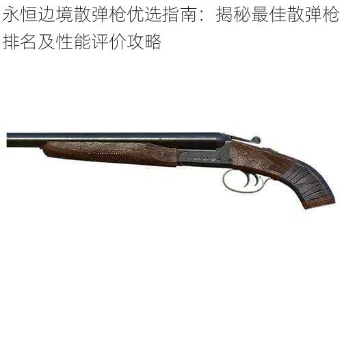 永恒边境散弹枪优选指南:揭秘最佳散弹枪排名及性能评价攻略