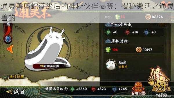 通灵兽蓝蛇满级后的神秘伙伴揭晓:揭秘激活之通灵兽的