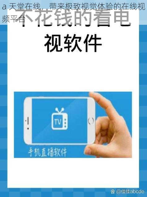 a 天堂在线,带来极致视觉体验的在线视频平台