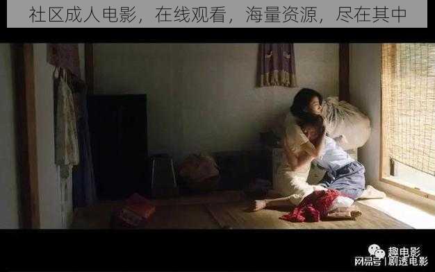 社区成人电影,在线观看,海量资源,尽在其中