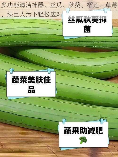多功能清洁神器,丝瓜、秋葵、榴莲、草莓、绿巨人污下轻松应对