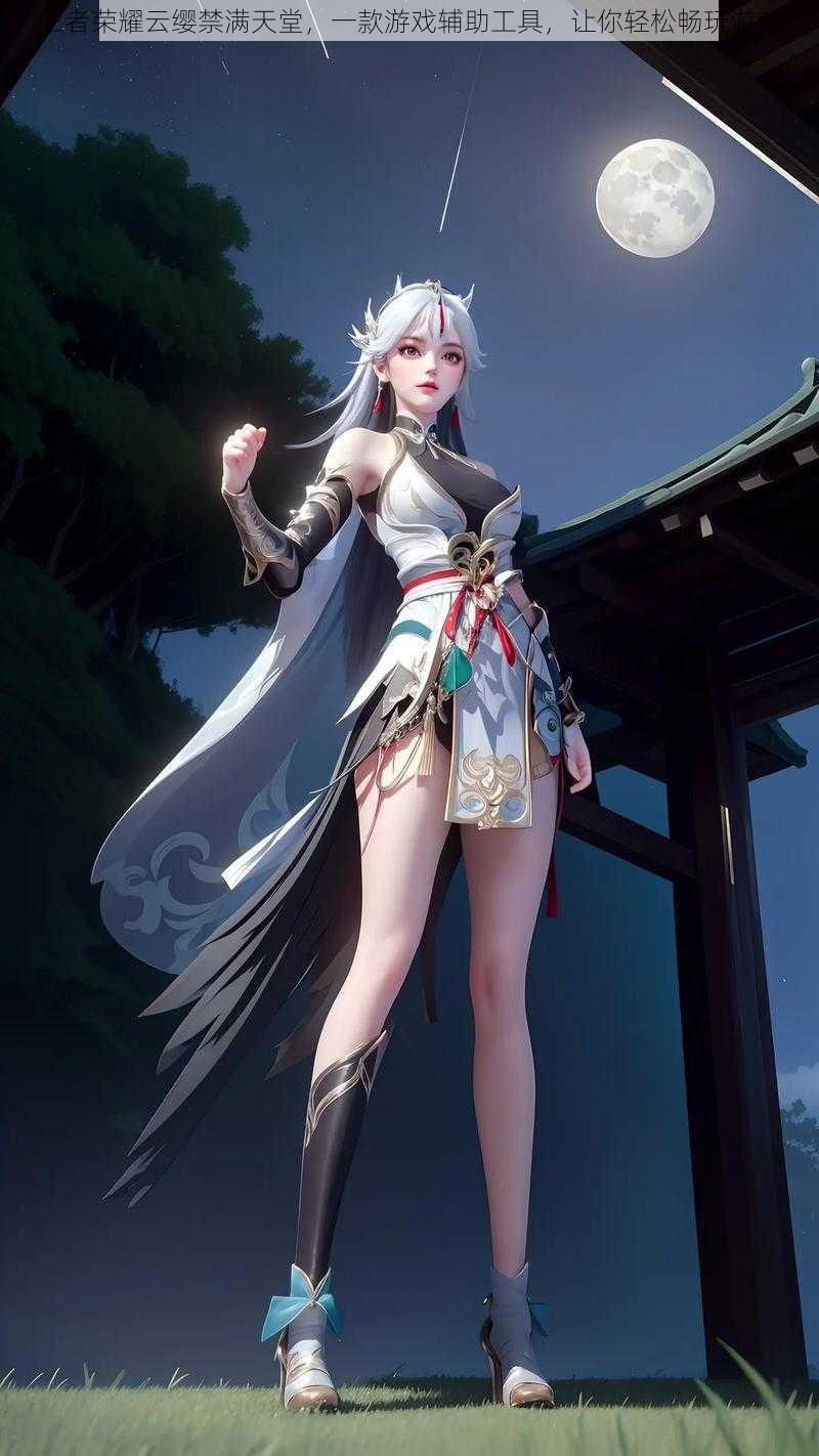 王者荣耀云缨禁满天堂,一款游戏辅助工具,让你轻松畅玩游戏