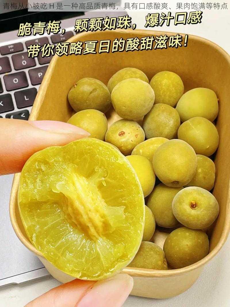 青梅从小被吃 H 是一种高品质青梅,具有口感酸爽、果肉饱满等特点