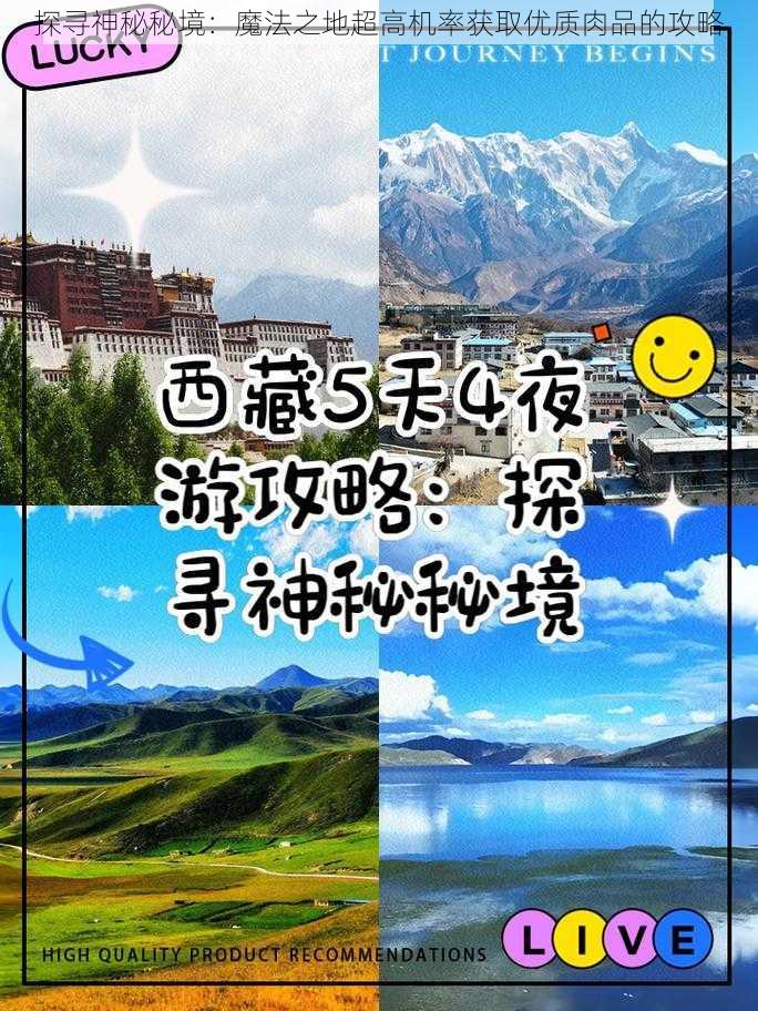 探寻神秘秘境:魔法之地超高机率获取优质肉品的攻略