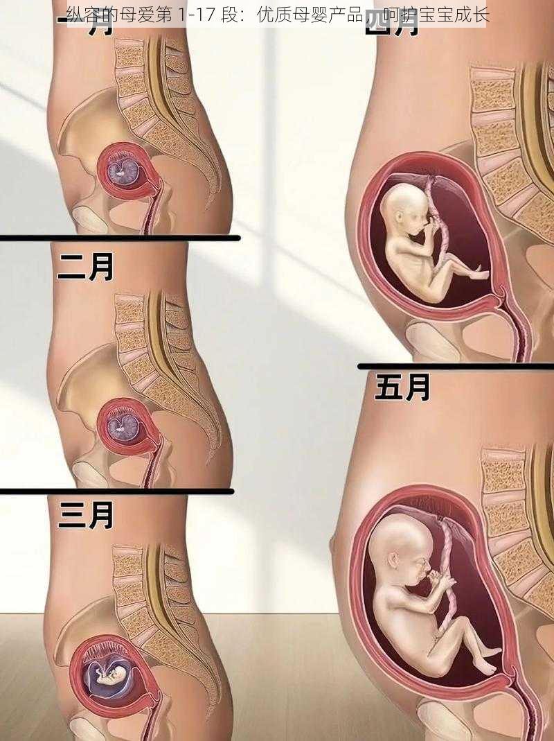 纵容的母爱第 1-17 段:优质母婴产品,呵护宝宝成长
