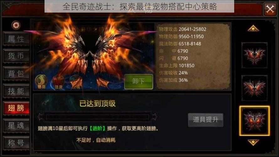 全民奇迹战士:探索最佳宠物搭配中心策略