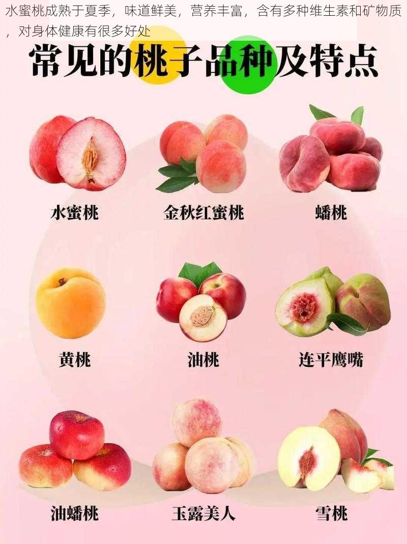 水蜜桃成熟于夏季,味道鲜美,营养丰富,含有多种维生素和矿物质,对身体健康有很多好处