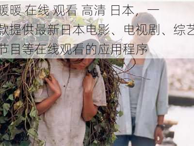 暖暖 在线 观看 高清 日本,一款提供最新日本电影、电视剧、综艺节目等在线观看的应用程序
