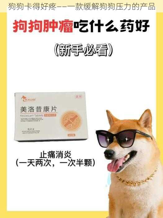 狗狗卡得好疼——一款缓解狗狗压力的产品