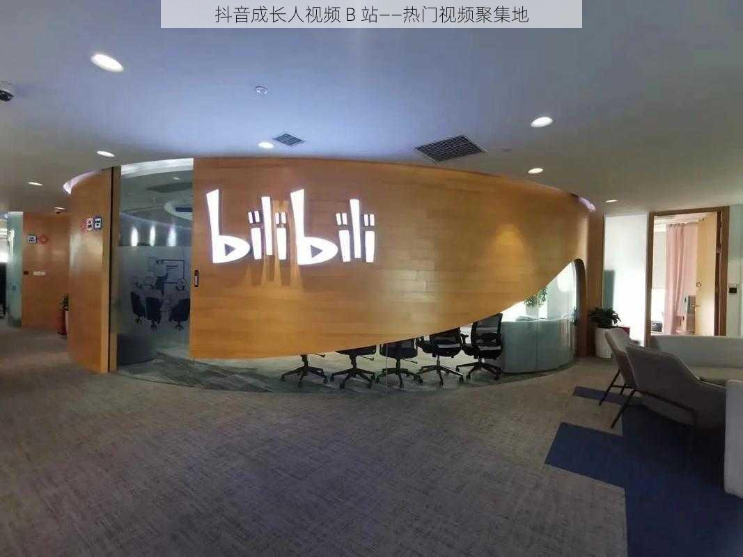 抖音成长人视频 B 站——热门视频聚集地