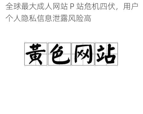 全球最大成人网站 P 站危机四伏,用户个人隐私信息泄露风险高