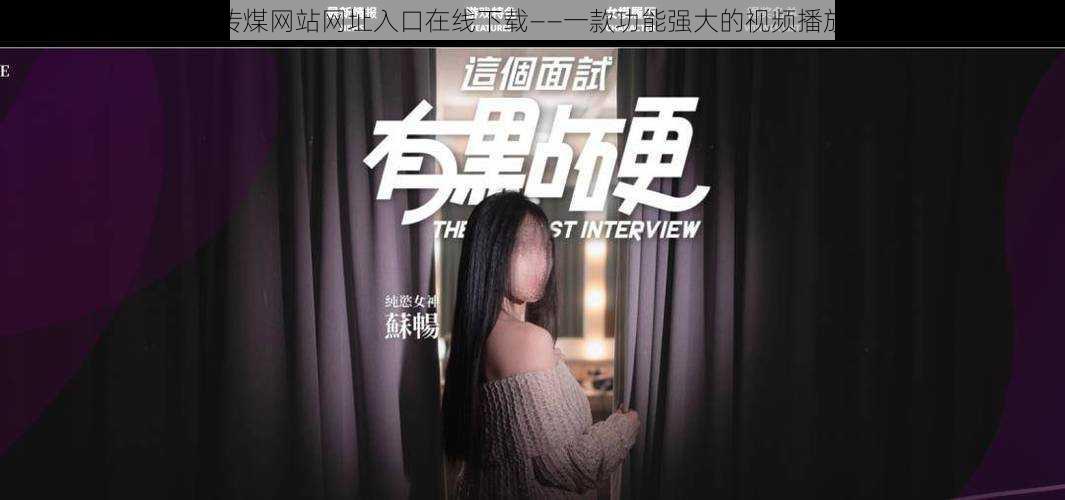 麻豆传煤网站网址入口在线下载——一款功能强大的视频播放软件