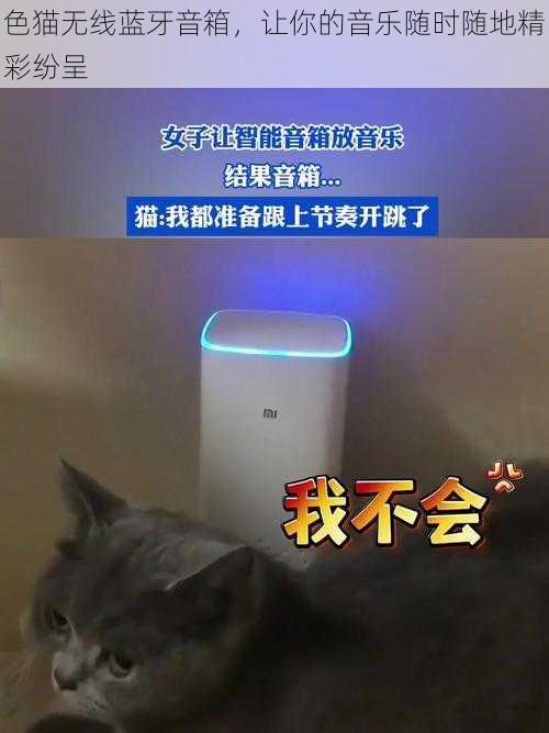 色猫无线蓝牙音箱,让你的音乐随时随地精彩纷呈