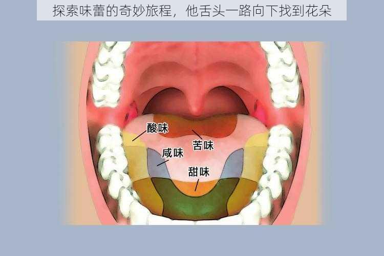 探索味蕾的奇妙旅程,他舌头一路向下找到花朵