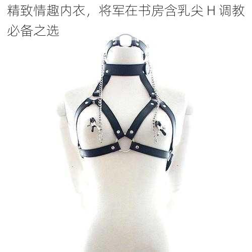 精致情趣内衣,将军在书房含乳尖 H 调教必备之选