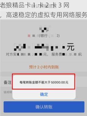 老狼精品卡 1 卡 2 卡 3 网,高速稳定的虚拟专用网络服务