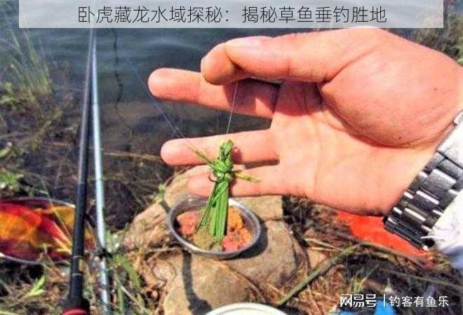 卧虎藏龙水域探秘:揭秘草鱼垂钓胜地