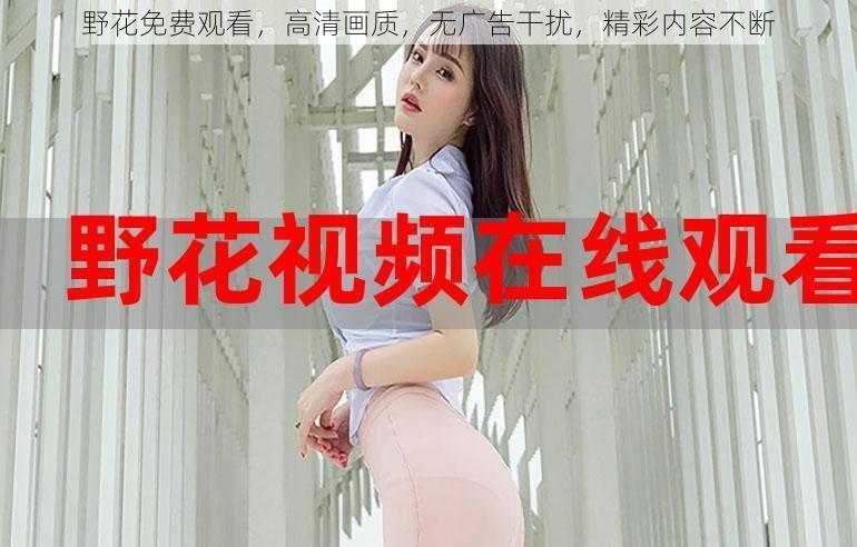 野花免费观看,高清画质,无广告干扰,精彩内容不断