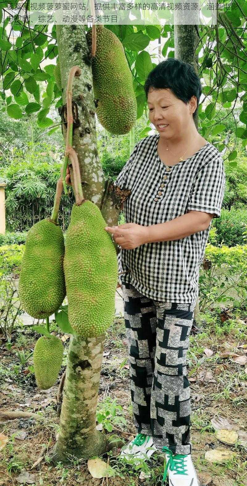 菠萝蜜视频菠萝蜜网站,提供丰富多样的高清视频资源,涵盖电影、电视剧、综艺、动漫等各类节目