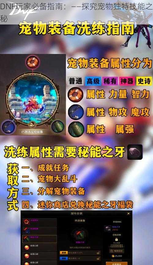 DNF玩家必备指南:——探究宠物独特技能之秘