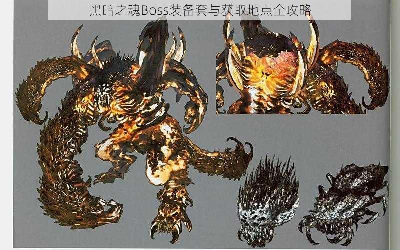 黑暗之魂Boss装备套与获取地点全攻略
