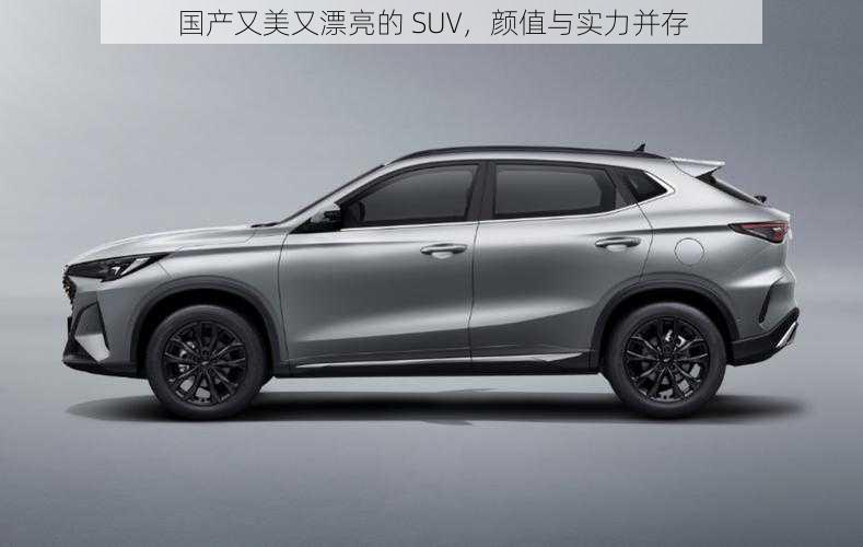 国产又美又漂亮的 SUV,颜值与实力并存