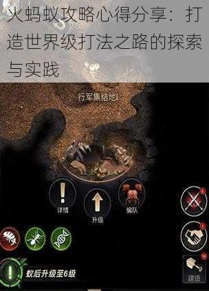 火蚂蚁攻略心得分享:打造世界级打法之路的探索与实践