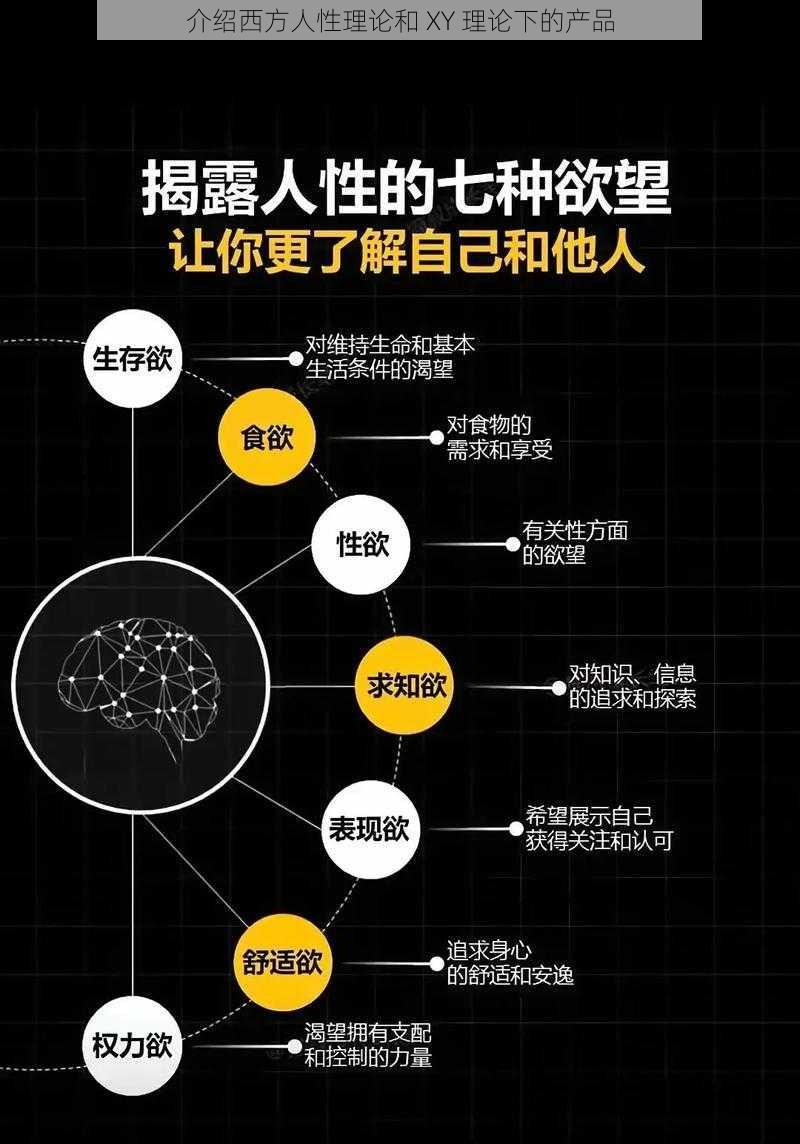 介绍西方人性理论和 XY 理论下的产品