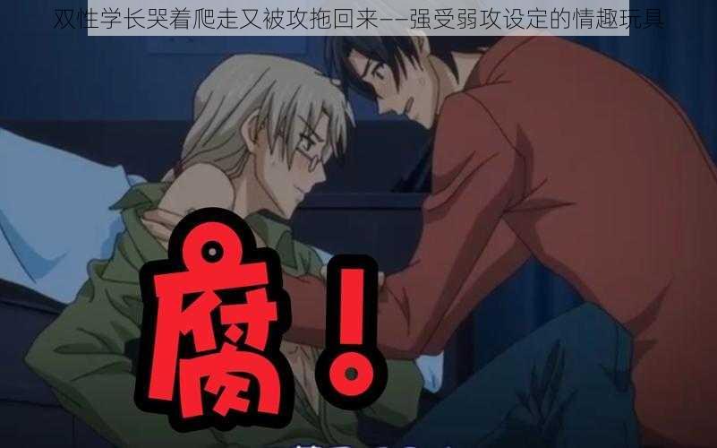 双性学长哭着爬走又被攻拖回来——强受弱攻设定的情趣玩具