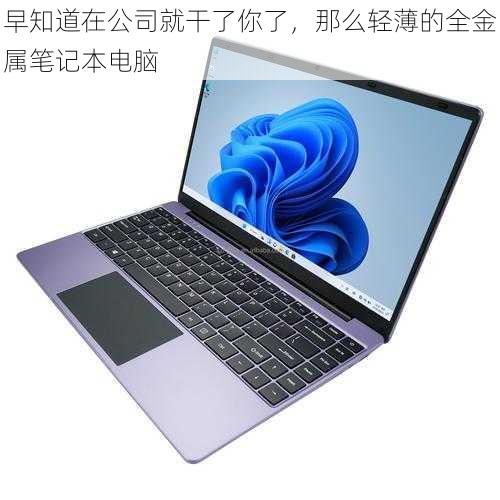 早知道在公司就干了你了,那么轻薄的全金属笔记本电脑
