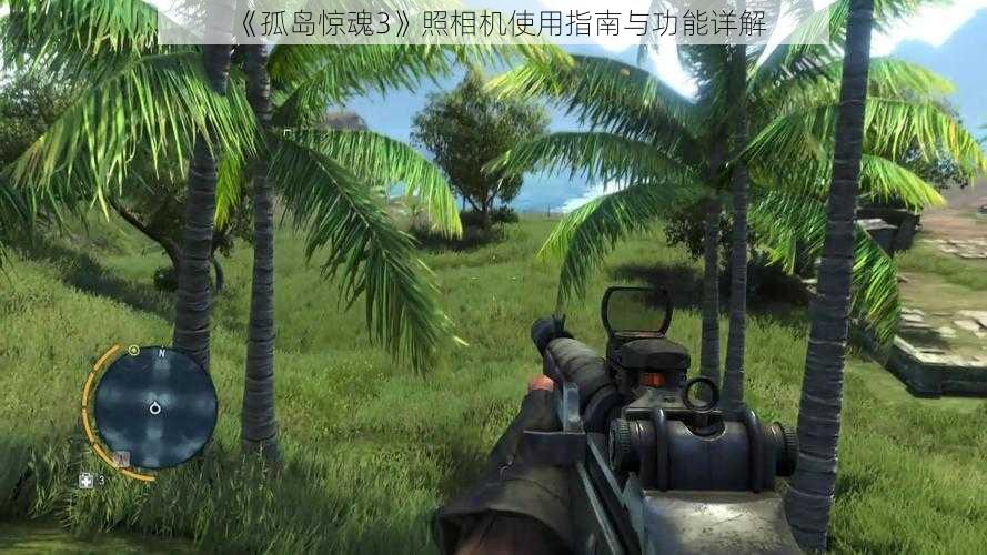《孤岛惊魂3》照相机使用指南与功能详解