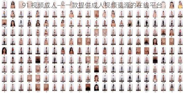 91 视频成人——一款提供成人视频资源的在线平台