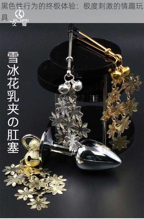 黑色性行为的终极体验:极度刺激的情趣玩具