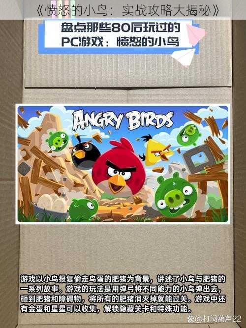 《愤怒的小鸟:实战攻略大揭秘》