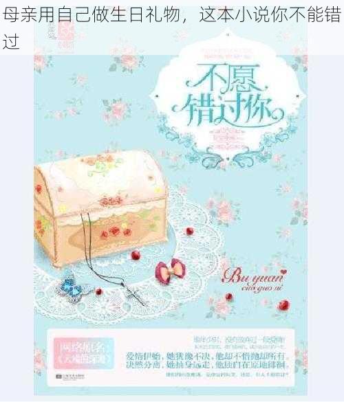 母亲用自己做生日礼物,这本小说你不能错过